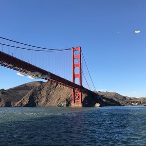 Meet your Posher, Lexie